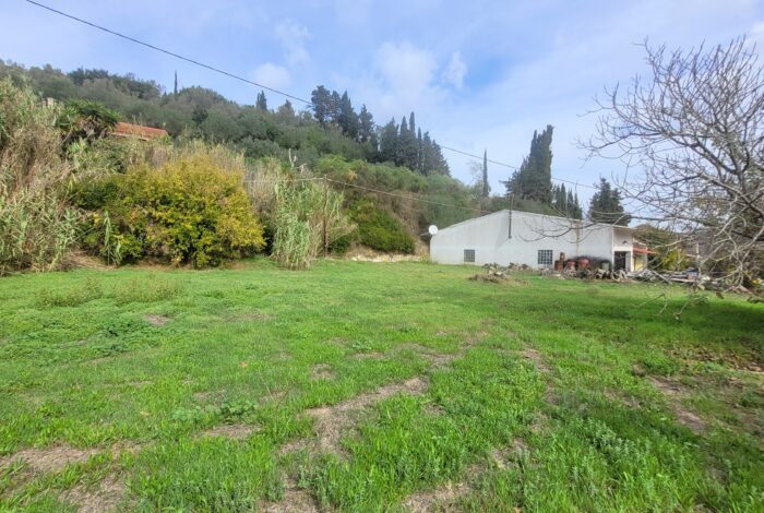 Buildable plot in North Corfu countryside