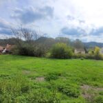Peaceful rural property in North Corfu Greece