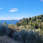 Investment land with sea views in North East Corfu