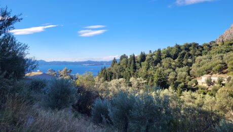 Investment land with sea views in North East Corfu
