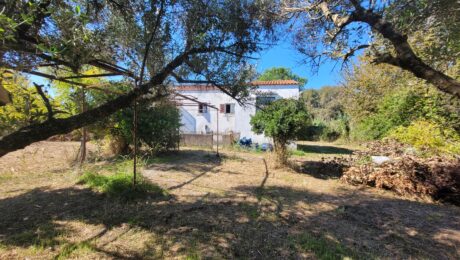 Corfu real estate rural house with outdoor space