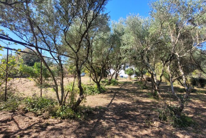 Pathways and outdoor layout around detached house in Corfu