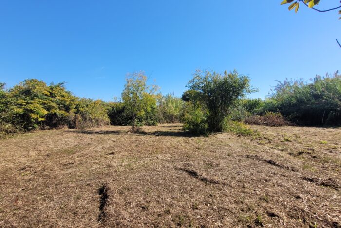Garden space overlooking peaceful Viros surroundings