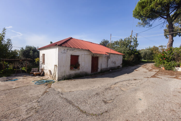 Flat plot for sale in Ilia Greece ideal for beachfront villa construction