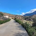 Private driveway leading from the main road to the apartment complec