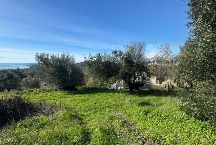 Corfu investment land suitable for tourist villas with panoramic coastal scenery