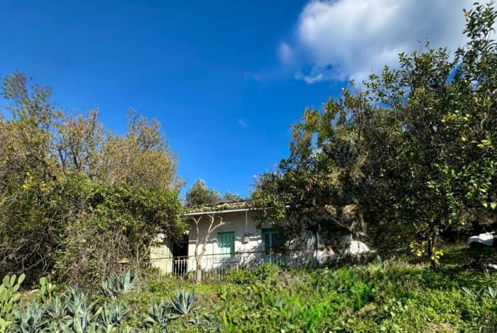 Corfu hillside plot with development potential and guaranteed panoramic view