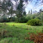 Quiet private plot in Central Corfu with easy access and utilities nearby”
