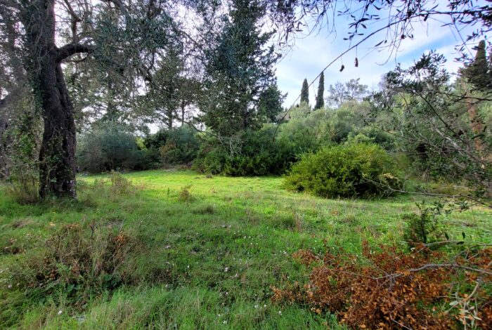Quiet private plot in Central Corfu with easy access and utilities nearby”