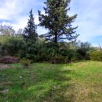 Large plot for sale in Kastellani Mesis Corfu with countryside views