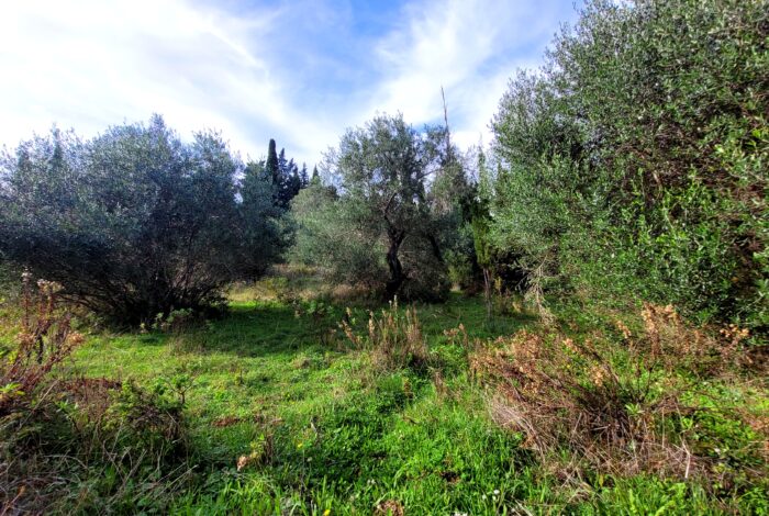 Inclined plot in Kastellani Mesis with unobstructed rural views