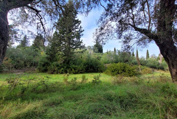 Central Corfu land for building up to 270sqm surrounded by nature