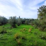 Land for sale in Central Corfu with building capacity up to 400sqm and lush green surroundings