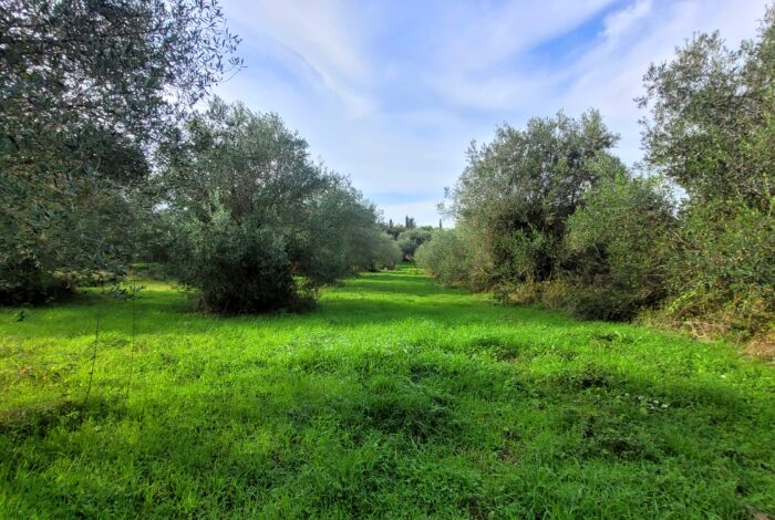 Countryside view plot in Central Corfu ideal for two-storey home construction