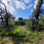 Buildable plot in traditional Corfiot village with rural landscape views