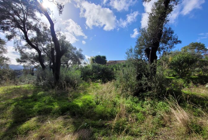 Buildable plot in traditional Corfiot village with rural landscape views