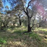 Flat buildable land overlooking rural scenery in Rachtades