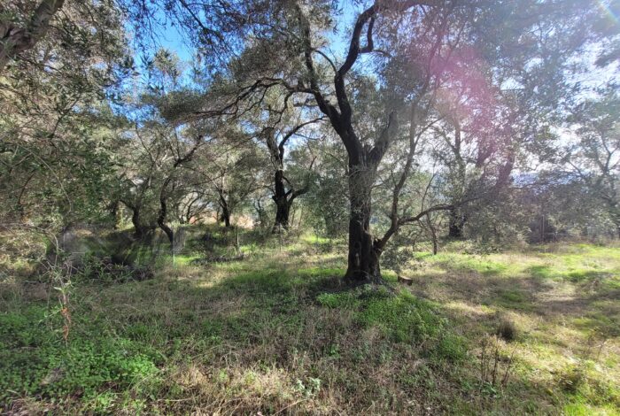 Flat buildable land overlooking rural scenery in Rachtades