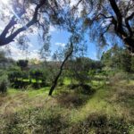 Flat 1004sqm plot for sale in Rachtades Corfu with countryside views