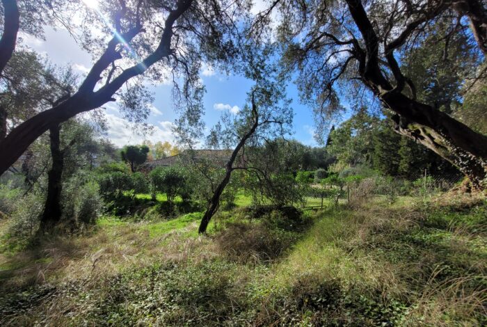 Flat 1004sqm plot for sale in Rachtades Corfu with countryside views