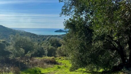 Panoramic sea view from plot in Agios Georgios Corfu overlooking Porto Timoni