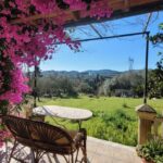 Countryside views from the terrace in Perivoli detached house