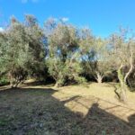 1,250 sq.m. adjacent plot included in Corfu property sale