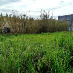 Easy to build flat plot near Corfu town