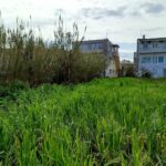 Buildable plot 705 sq.m. near Corfu Town with easy access