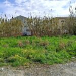 Flat plot of land in Kanalia Corfu ready for residential development