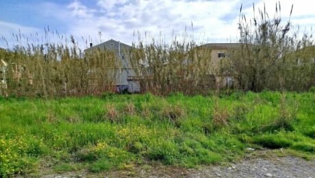 Flat plot of land in Kanalia Corfu ready for residential development