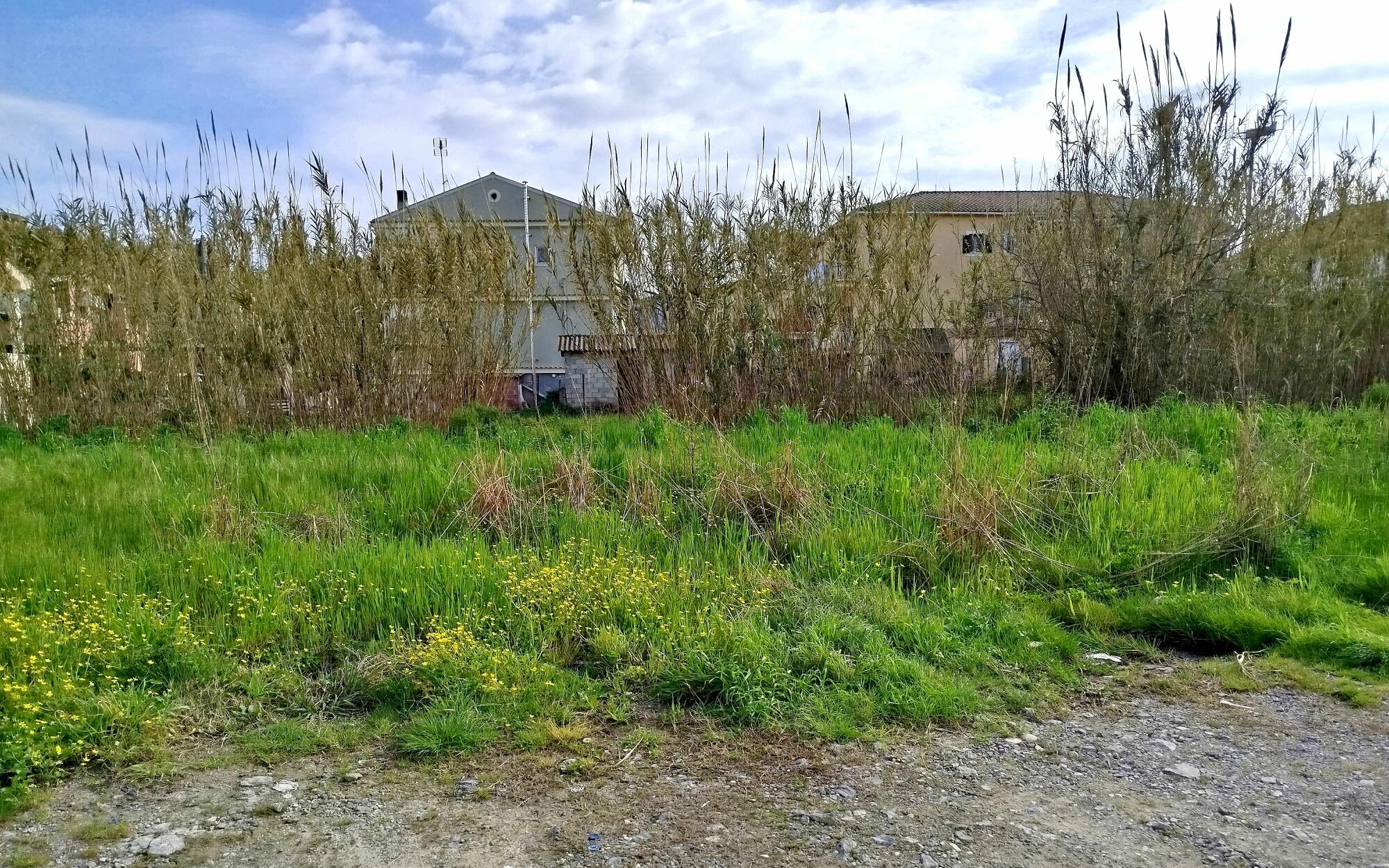 Flat plot of land in Kanalia Corfu ready for residential development