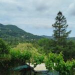 Buildable plot in Gastouri Corfu surrounded by nature