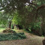 Peaceful countryside property for sale in Gastouri Corfu