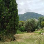 Scenic building plot in Gastouri Corfu Greece