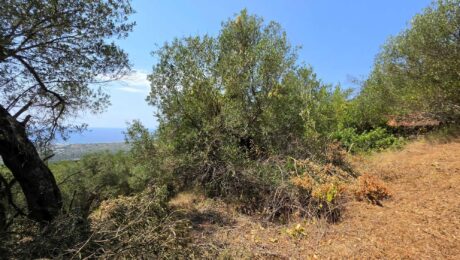 Large plot of land for sale in Chlomos Corfu with sea views