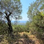 Buildable land in Chlomos South Corfu with sea views