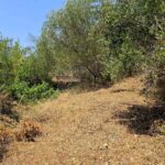 Large buildable plot near Issos Beach Corfu