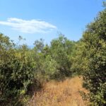 Land suitable for residential development in South Corfu