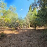 Peaceful and secluded property in Agios Georgios South Corfu