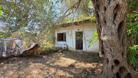Detached house in a peaceful natural setting in Agios Georgios South Corfu