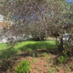 Buildable land investment opportunity in northern Corfu Greece