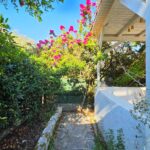 Garden with flowers and trees at house for sale in Argyrades