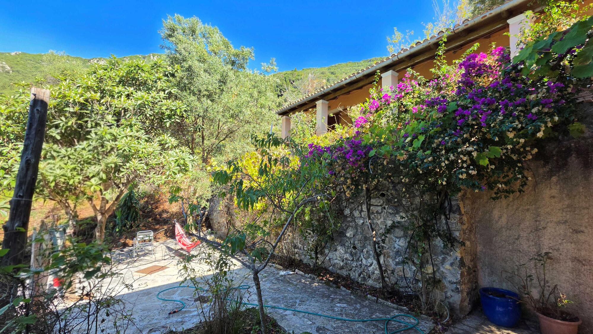 Courtyard surrounded by greenery in Pentati, West Corfu