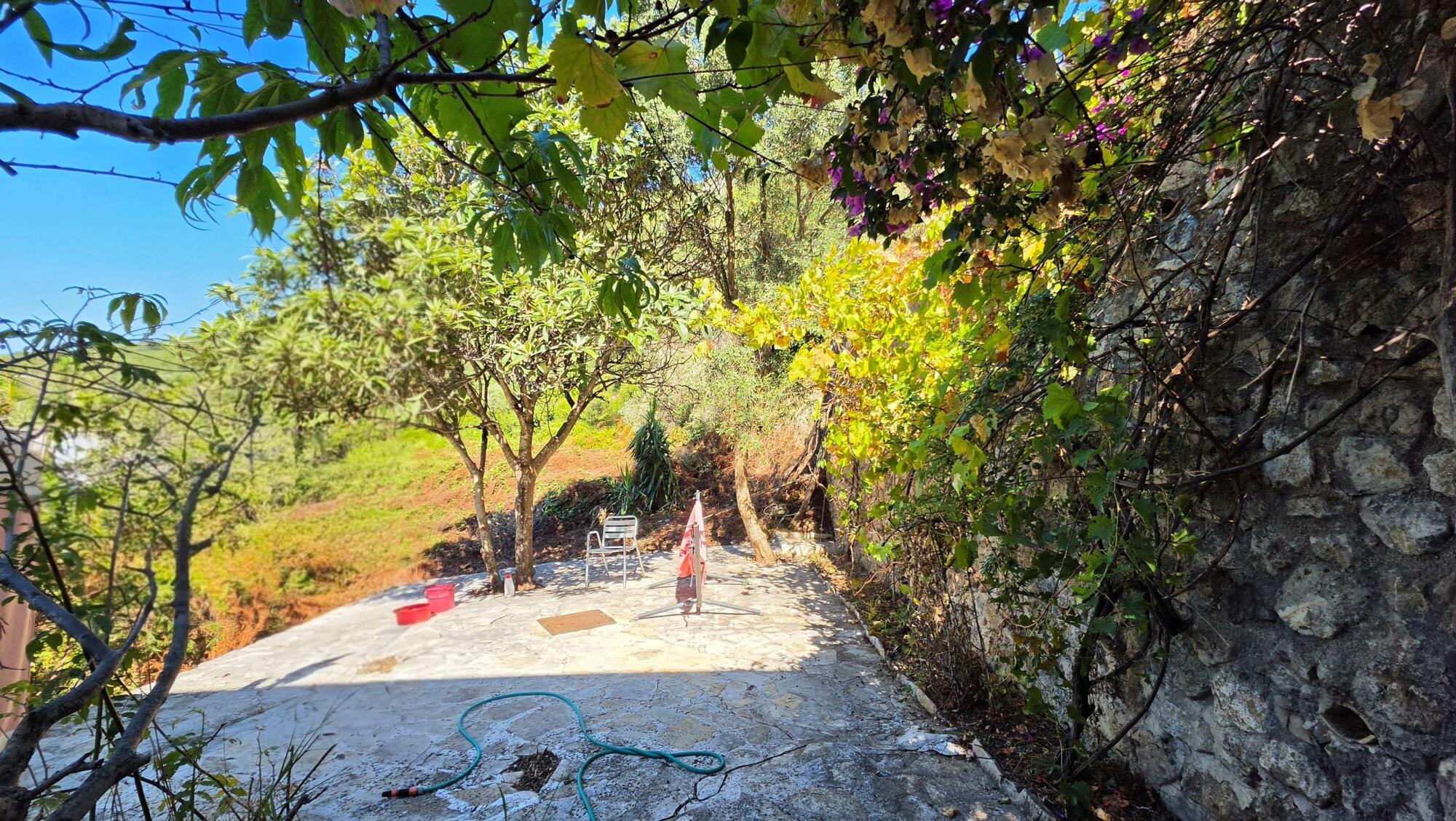 Secluded garden with fruit trees and Mediterranean vegetation in Pentati Corfu