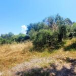 Plot of land for sale in Apergatika near Lakka, Paxos, Greece