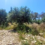 Two buildable plots for residential development in Apergatika, Paxos