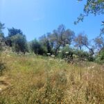 Plot of land suitable for a holiday home in Lakka, Paxos, Greece