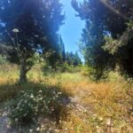 Buildable land for investment or tourism development in Apergatika, Paxos