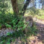 Land for sale with road frontage and easy access in Lakka, Paxos